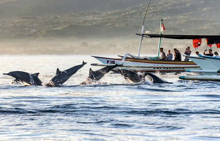 Kami menyediakan layanan airport transfer atau antar jemput Bandara Internasional Juanda Surabaya ke seluruh kota di Jawa Timur, Bali, Jawa Tengah, Yogyakarta (DIY), Jawa Barat, DKI Jakarta, Banten, sewa dan carter mobil Toyota Avanza 5 seater, Toyota Innova 6 seater, Toyota Hiace 14 seater.