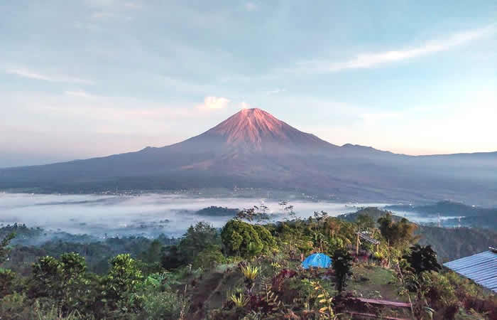 Antar Jemput Bandara Juanda Surabaya ke Lumajang Jawa Timur dan Carter Mobil.