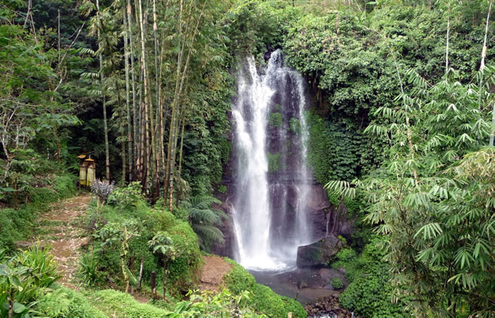 Antar Jemput Bandara Juanda Surabaya ke Munduk Bali dan Carter Mobil.