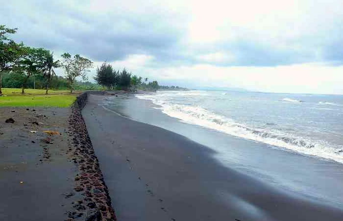 Antar Jemput Bandara Juanda Surabaya ke Saba Bali dan Carter Mobil.